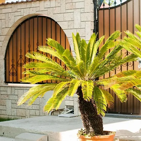 Complex Adal Chalet Eforie Nord