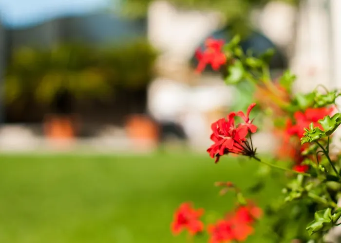 Complex Adal * Eforie Nord