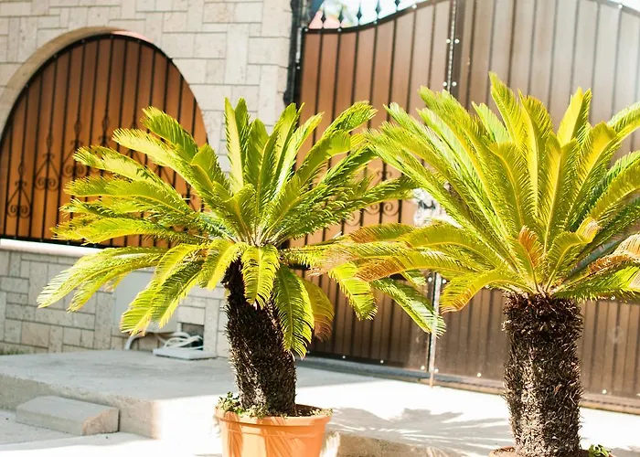 Complex Adal Eforie Nord