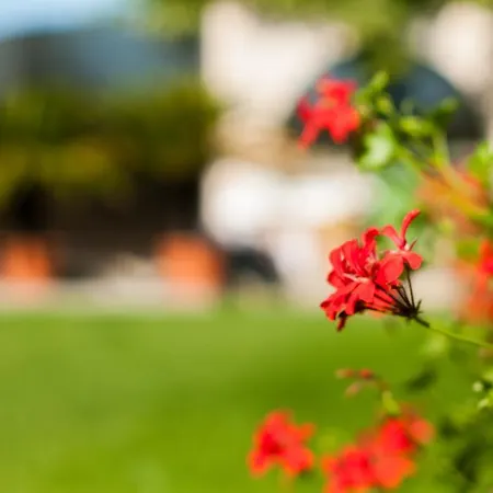 Complex Adal * Эфорие Норд