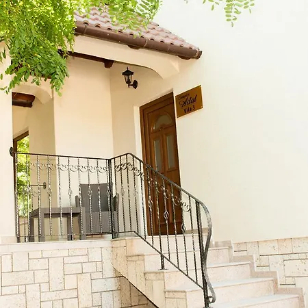 Complex Adal * אפורי נורד