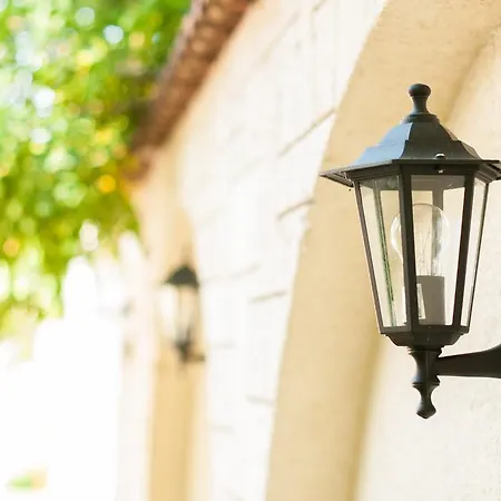 Complex Adal Эфорие Норд