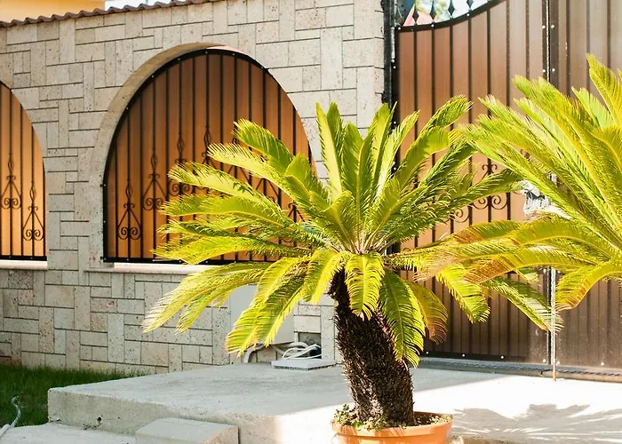 Complex Adal Chalet Eforie Nord